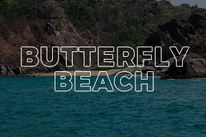 Butterfly Beach